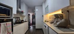 Blk 269 Bishan Street 24 (Bishan), HDB 4 Rooms #543361741